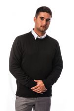 Mens crewneck sweater